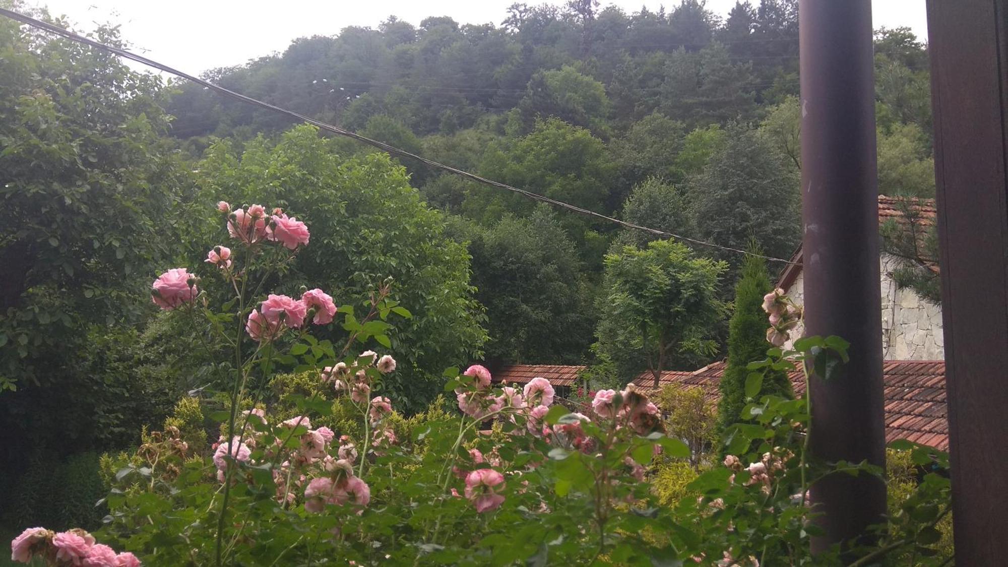 Bed and Breakfast Eco Garden Dilidschan Exterior foto