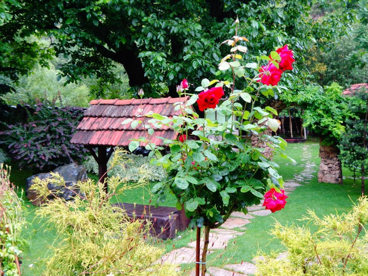 Bed and Breakfast Eco Garden Dilidschan Exterior foto